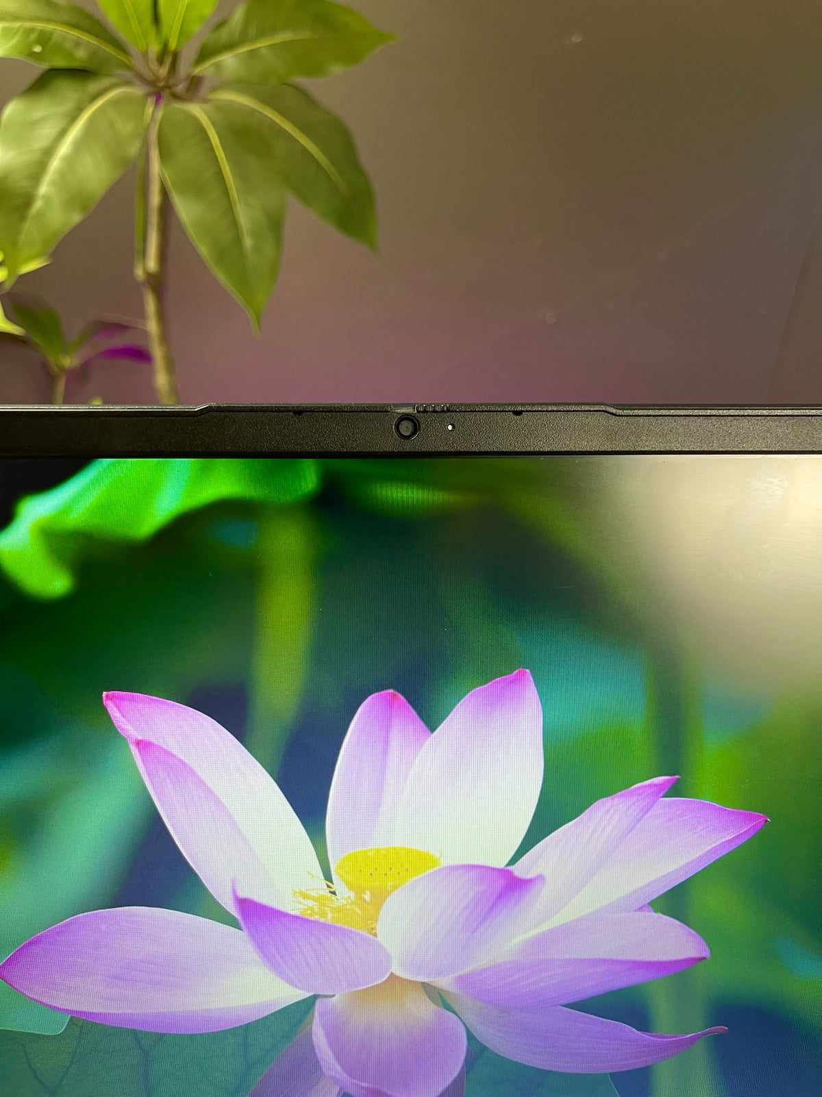 Lenovo IdeaPad Slim 3 | Core i5-1155G7 الجيل الحادي عشر | 8GB DDR4 | 256GB SSD